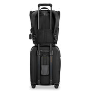 Briggs & Riley ZDX 21” Expandable Spinner